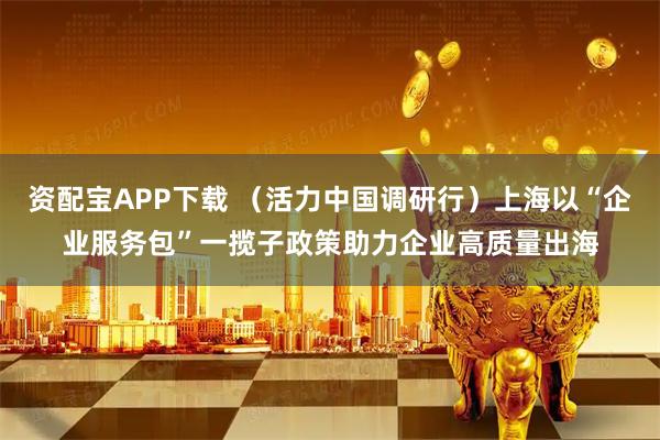 资配宝APP下载 (活力中国调研行)上海以“企业服务包”一揽子政策助力企业高质量出海