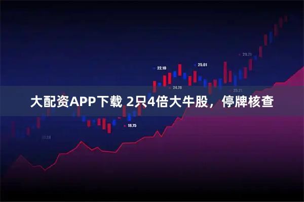 大配资APP下载 2只4倍大牛股，停牌核查